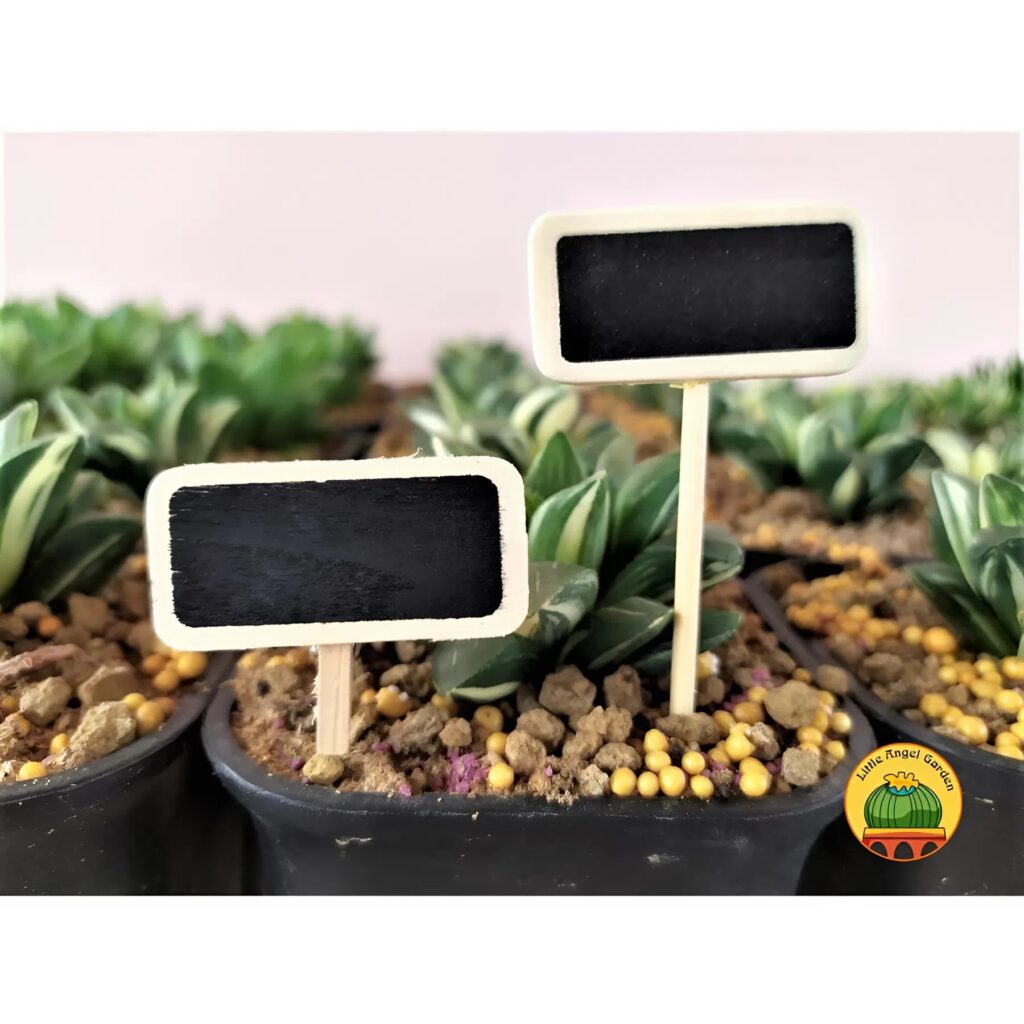 Bảng tên trang trí | littleangelgarden.vn