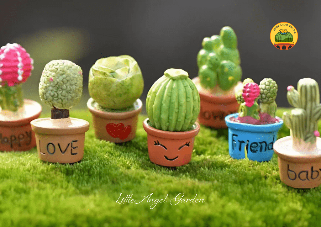 Chậu sen đá | Phụ kiện trang trí