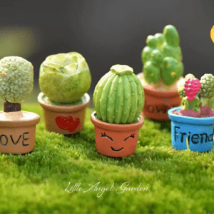 Chậu sen đá | Phụ kiện trang trí
