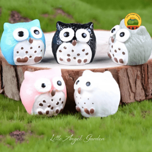 Cú mèo mini | littleangelgarden.vn